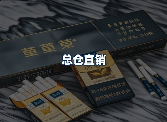 专业团队办公环境